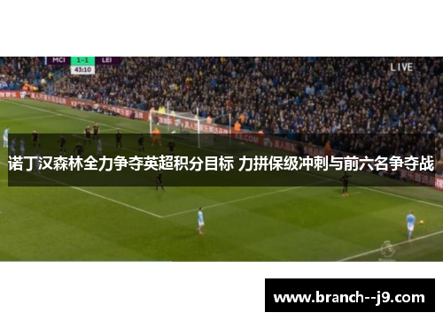 诺丁汉森林全力争夺英超积分目标 力拼保级冲刺与前六名争夺战