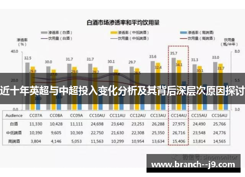 近十年英超与中超投入变化分析及其背后深层次原因探讨 近十年英超与中超投入变化分析及其背后深层次原因探讨