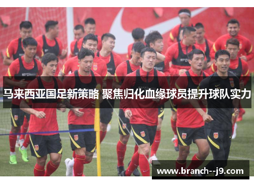 马来西亚国足新策略 聚焦归化血缘球员提升球队实力