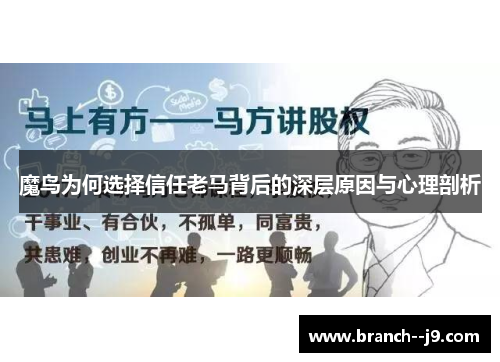 魔鸟为何选择信任老马背后的深层原因与心理剖析