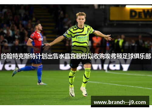 约翰特克斯特计划出售水晶宫股份以收购埃弗顿足球俱乐部 约翰特克斯特计划出售水晶宫股份以收购埃弗顿足球俱乐部