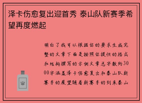 泽卡伤愈复出迎首秀 泰山队新赛季希望再度燃起