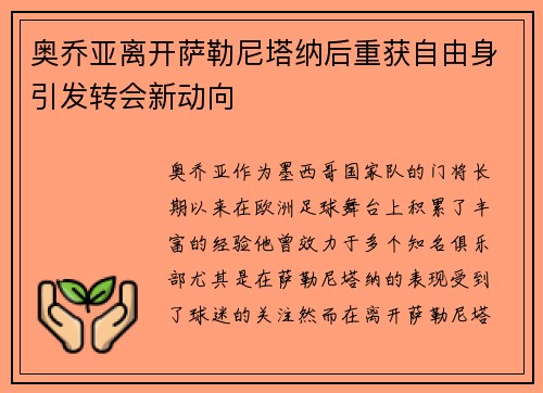 奥乔亚离开萨勒尼塔纳后重获自由身引发转会新动向