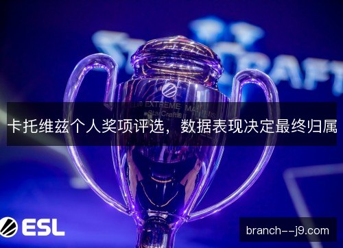 卡托维兹个人奖项评选，数据表现决定最终归属