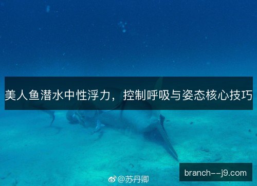 美人鱼潜水中性浮力，控制呼吸与姿态核心技巧