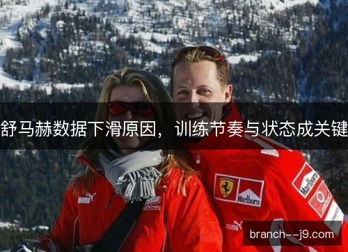 舒马赫数据下滑原因,训练节奏与状态成关键 舒马赫数据下滑原因,训练节奏与状态成关键