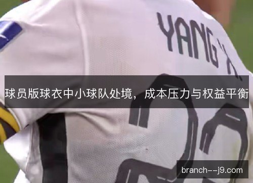 球员版球衣中小球队处境，成本压力与权益平衡